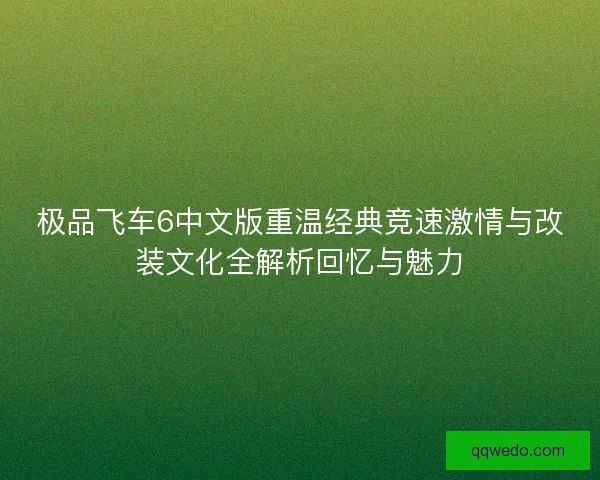 极品飞车6中文版重温经典竞速激情与改装文化全解析回忆与魅力